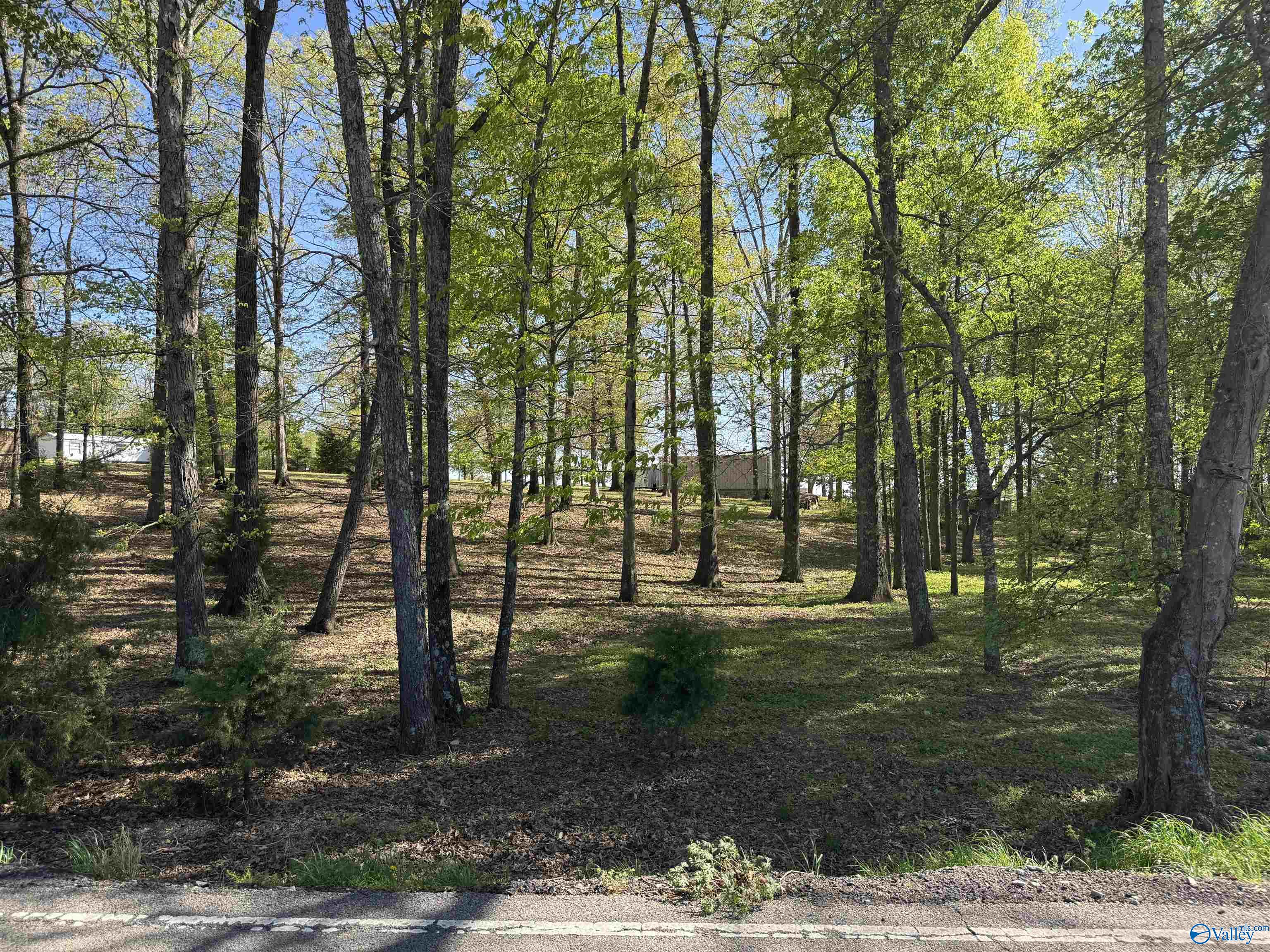 1186 J B Walker Road, New Market, Alabama image 6