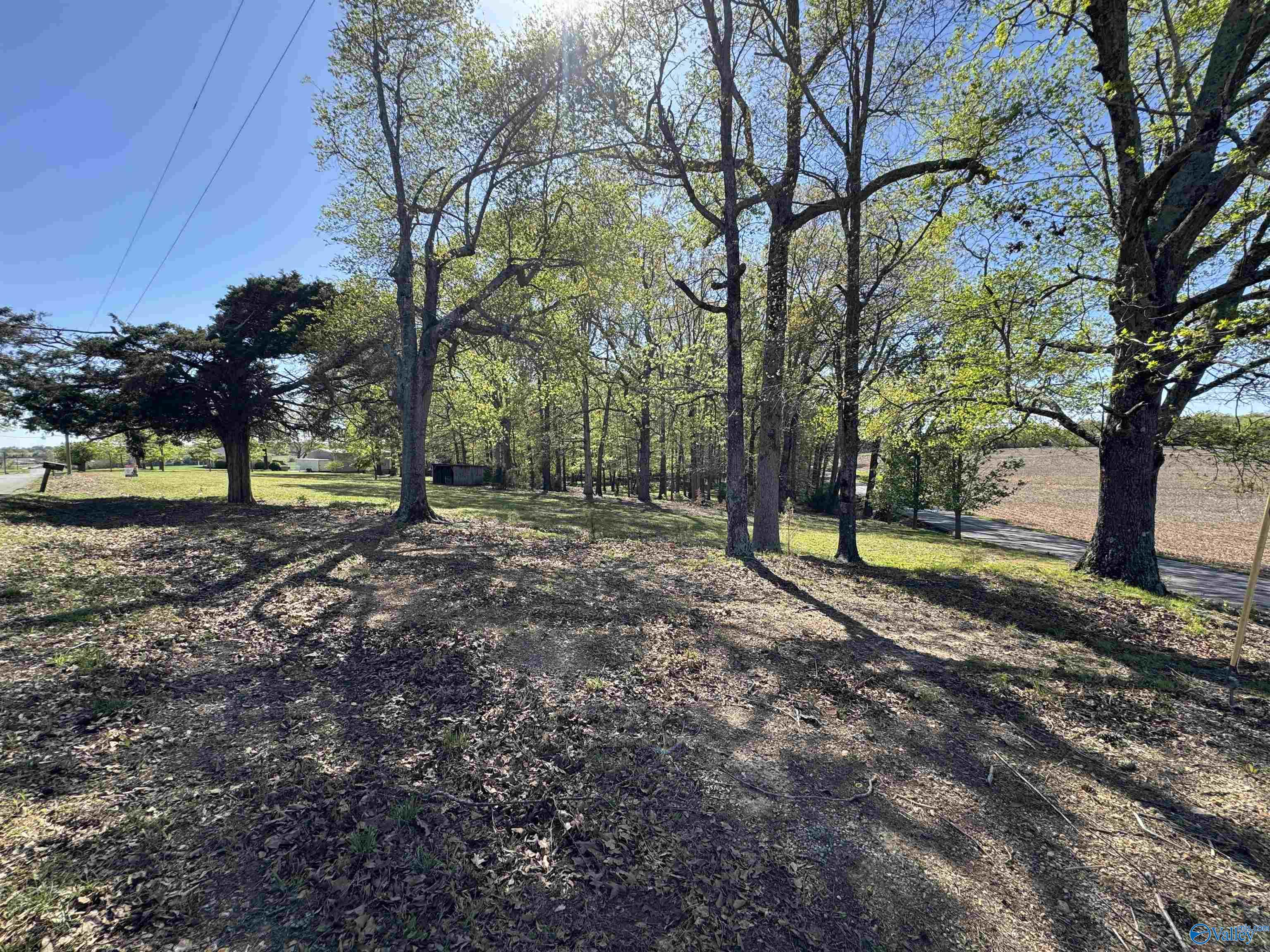 1186 J B Walker Road, New Market, Alabama image 3