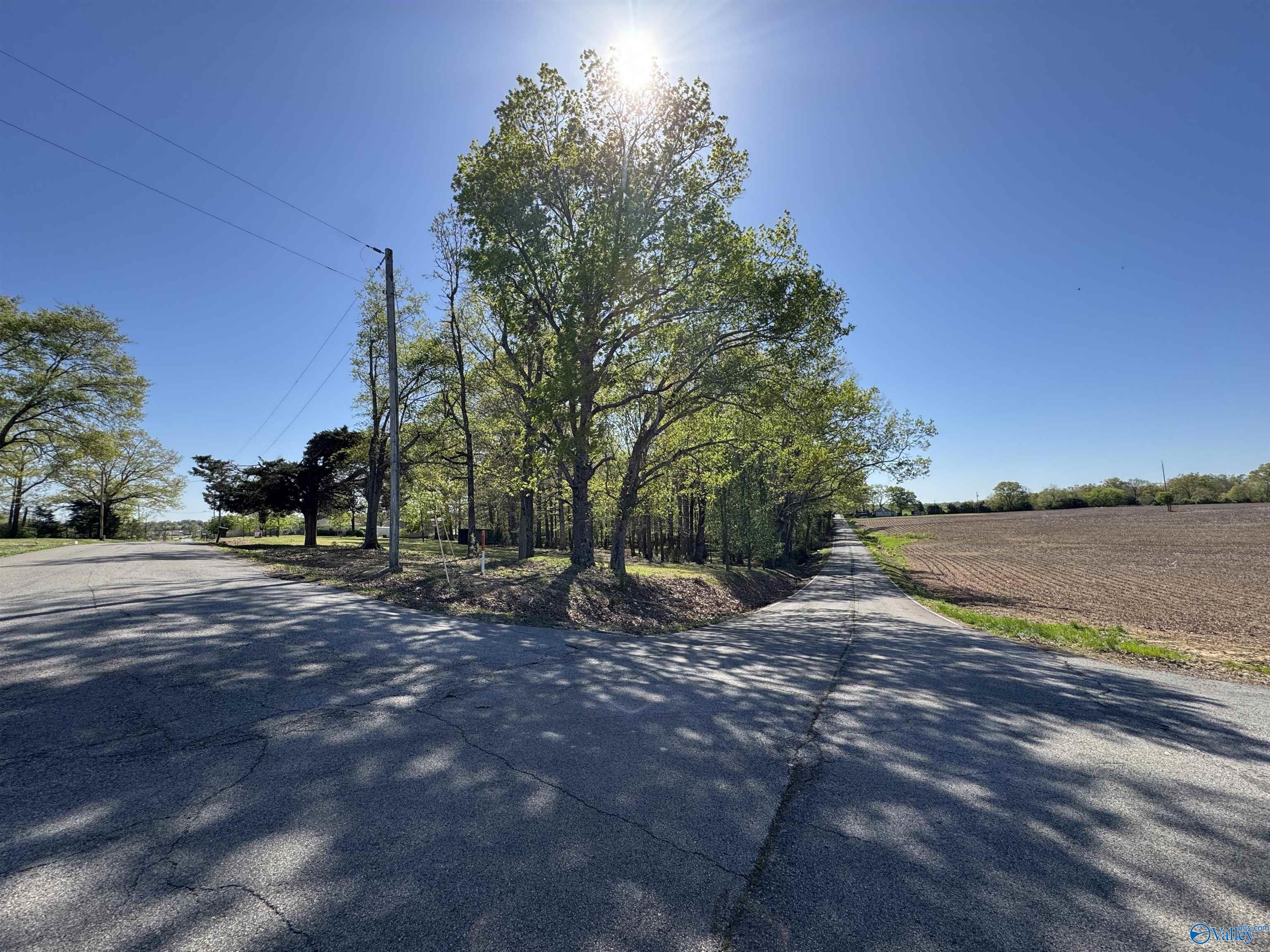 1186 J B Walker Road, New Market, Alabama image 4