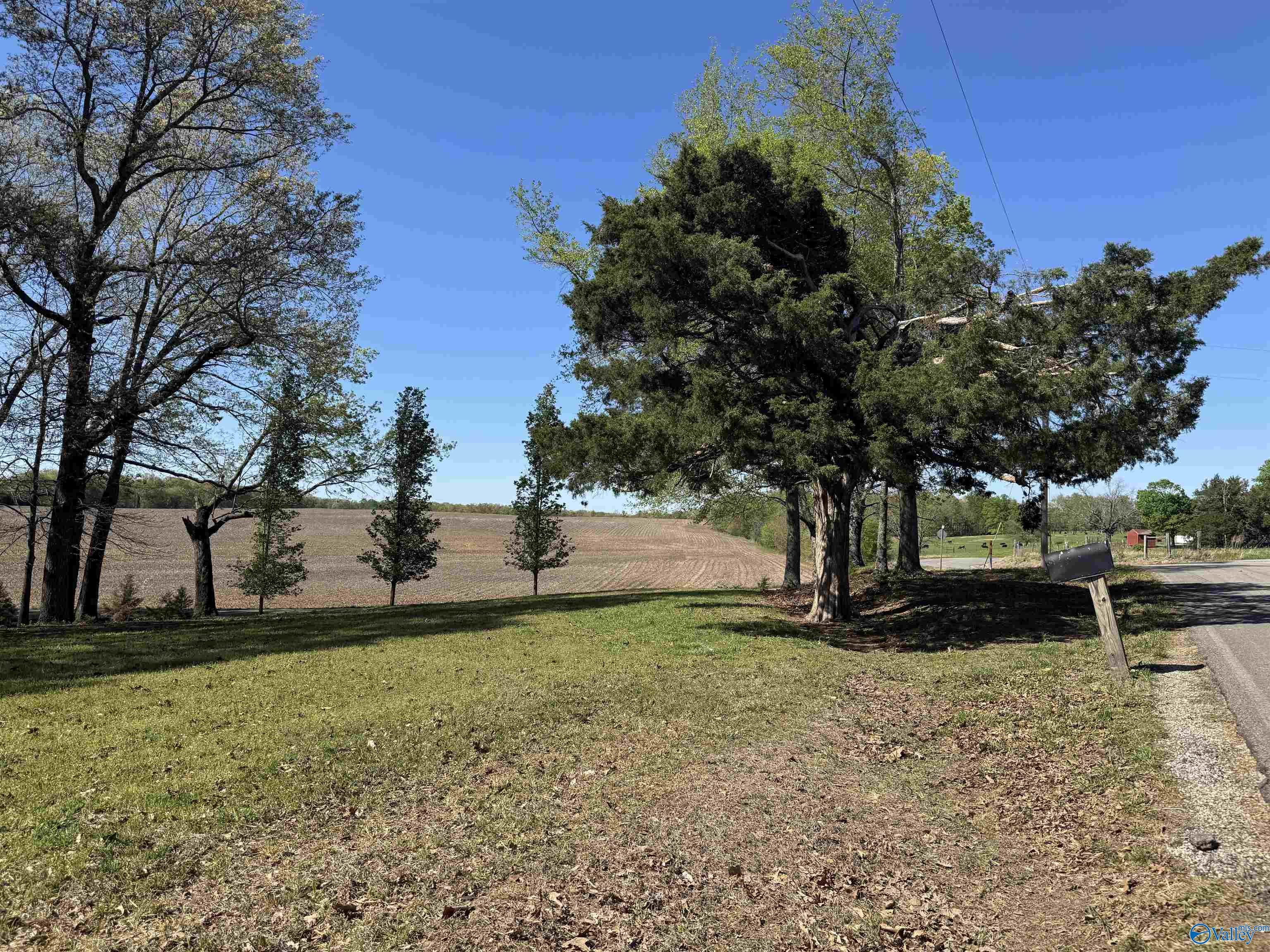 1186 J B Walker Road, New Market, Alabama image 1