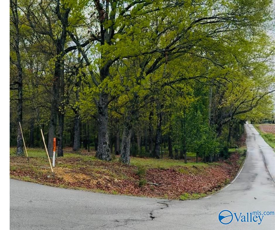 1186 J B Walker Road, New Market, Alabama image 5