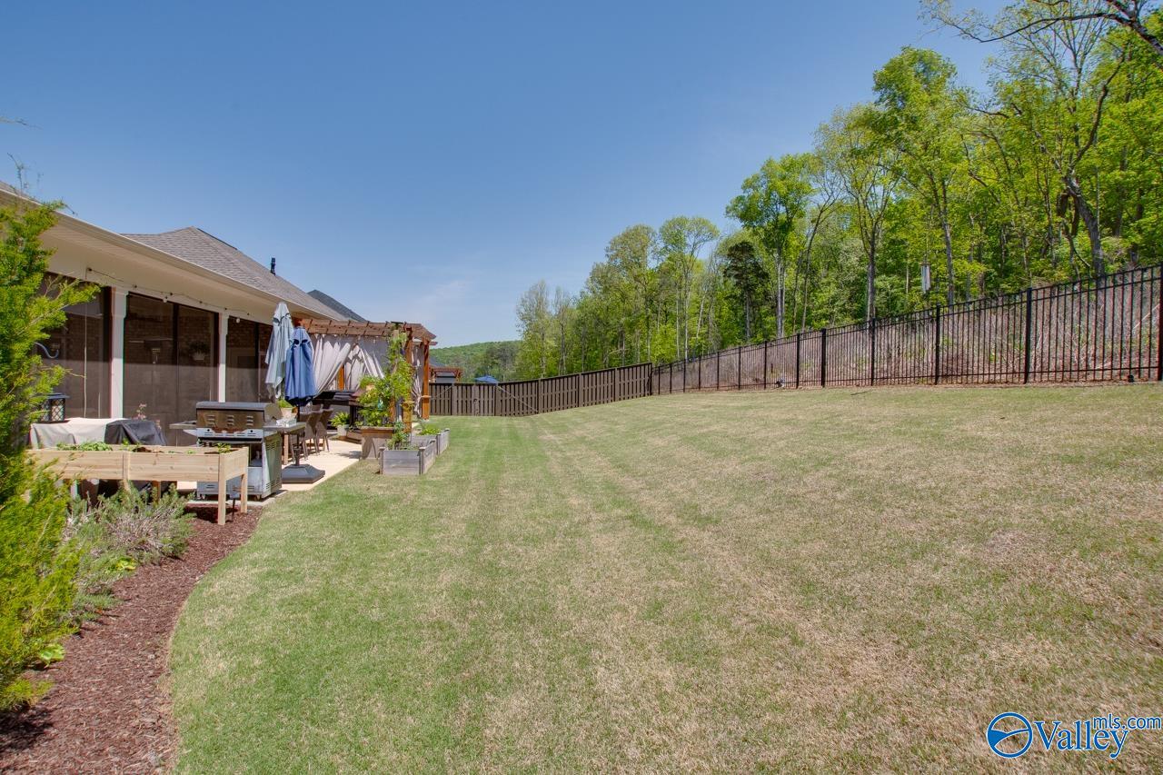 8072 Goose Ridge Drive, Owens Cross Roads, Alabama image 36