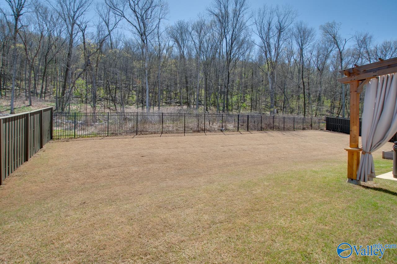 8072 Goose Ridge Drive, Owens Cross Roads, Alabama image 35