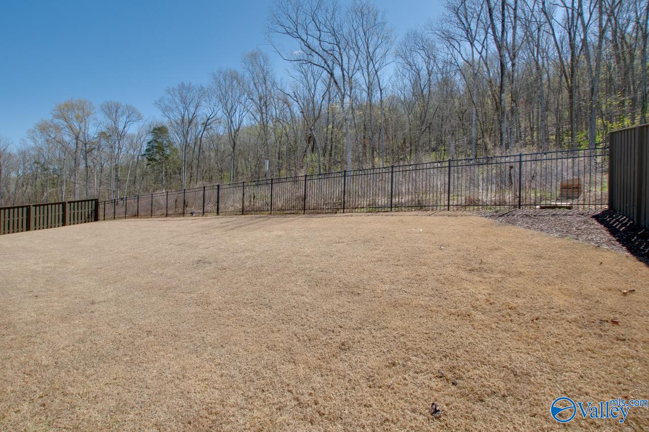 8072 Goose Ridge Drive, Owens Cross Roads, Alabama image 33