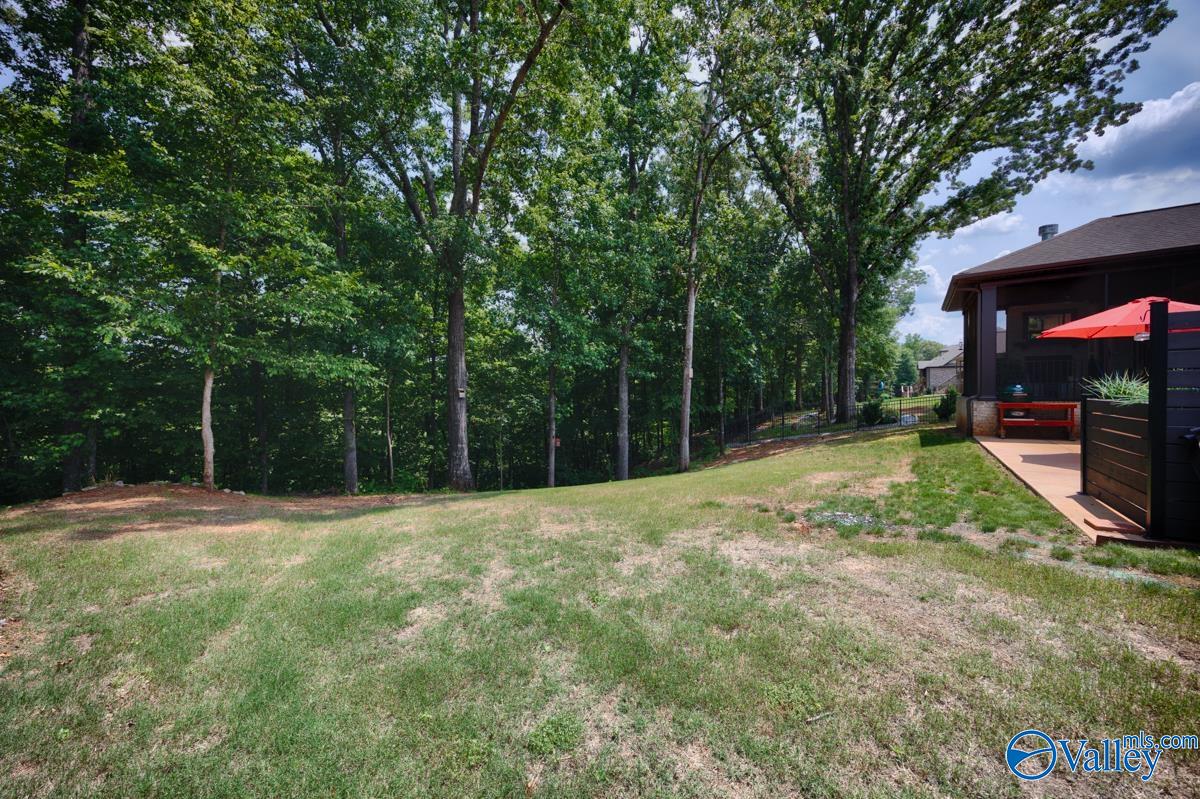 211 Water Ridge Lane, Huntsville, Alabama image 49