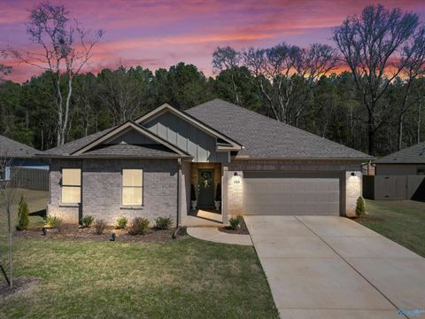Photo of 21613 Ginn Point Road, Athens, AL 35613 (MLS # 21912674)