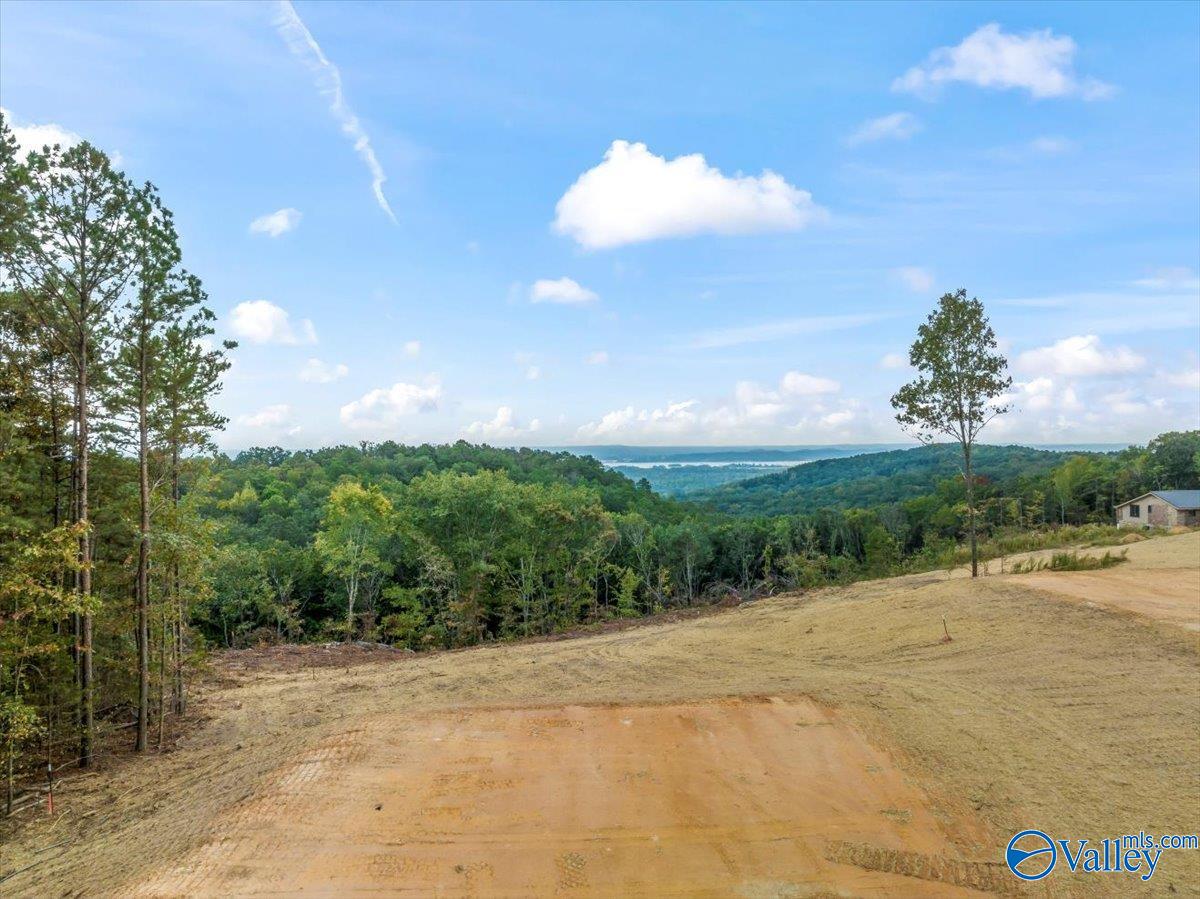 718 Loper Lane, Guntersville, Alabama image 4