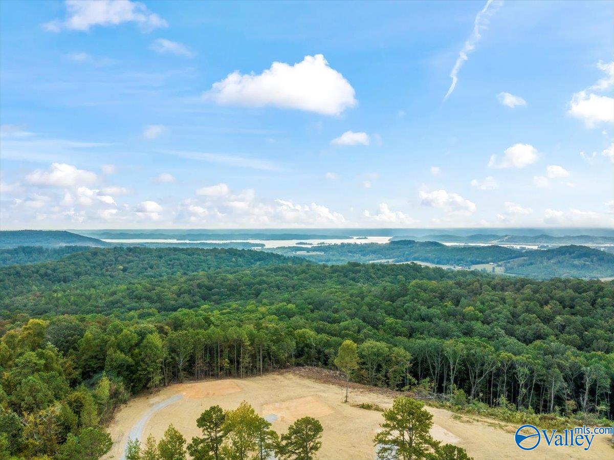 718 Loper Lane, Guntersville, Alabama image 3