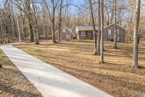 Photo of 205 Walter Bird Drive, Owens Cross Roads, AL 35763 (MLS # 21910434)