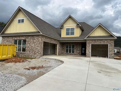 8906 Lockwood Lane Gurley AL 35748