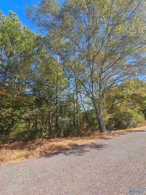 201 COUNTY RD 62 COLLINSVILLE, FORT PAYNE, AL 35967 - Image 83d881f060eab85c89528d83a35fc84a/2513489202