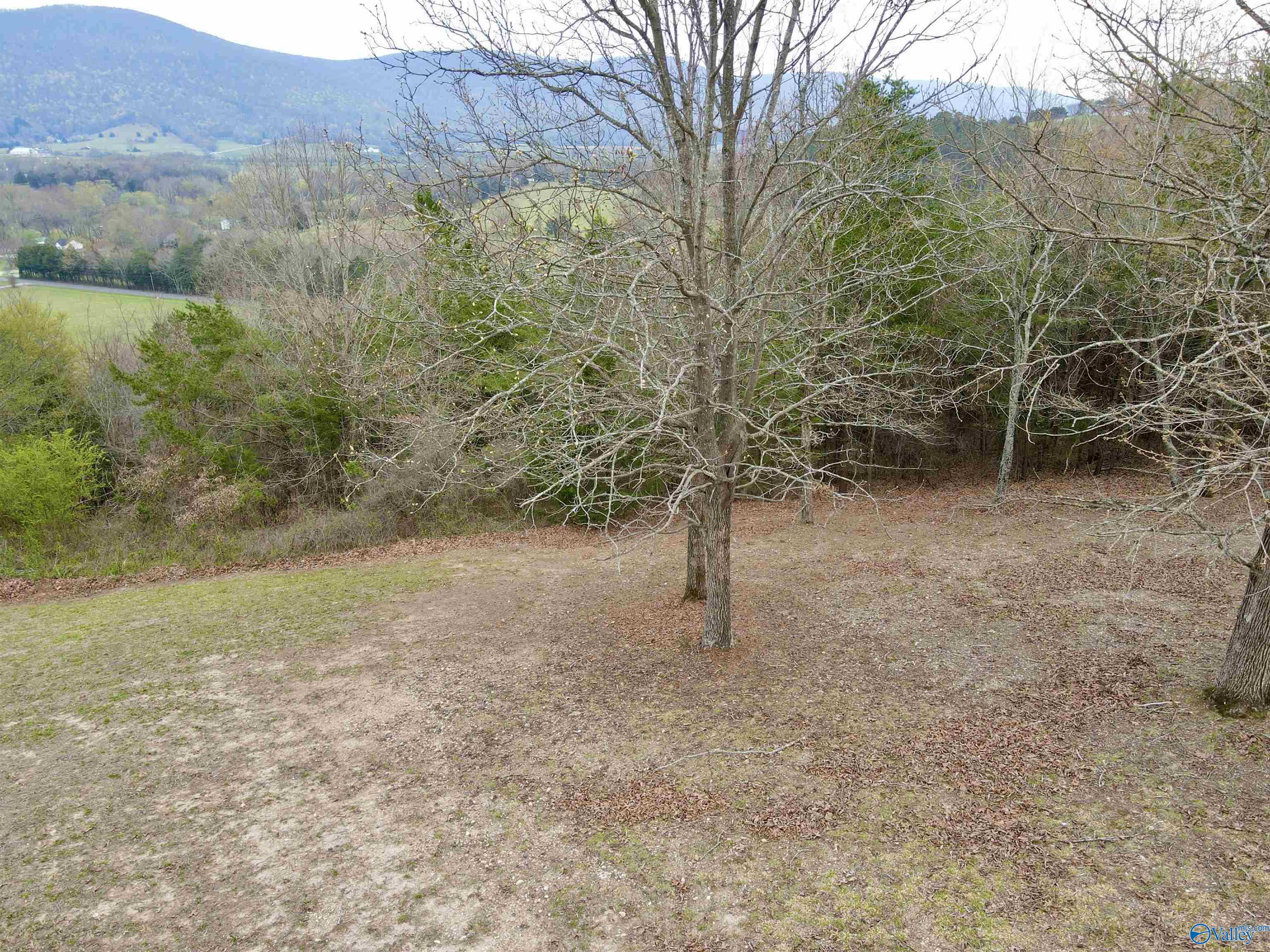 20 Skyhigh Drive, Dunlap, Tennessee image 25