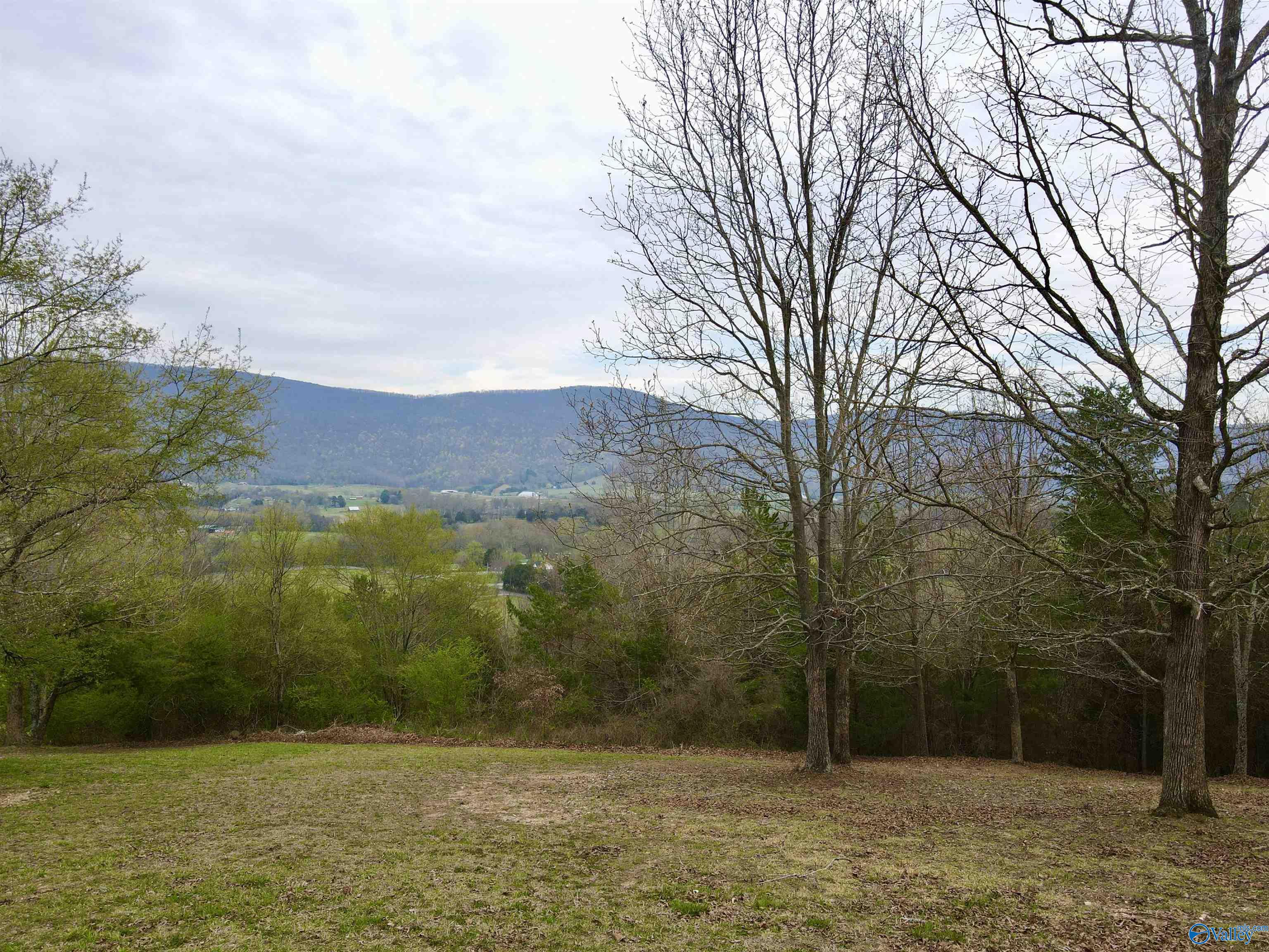20 Skyhigh Drive, Dunlap, Tennessee image 5