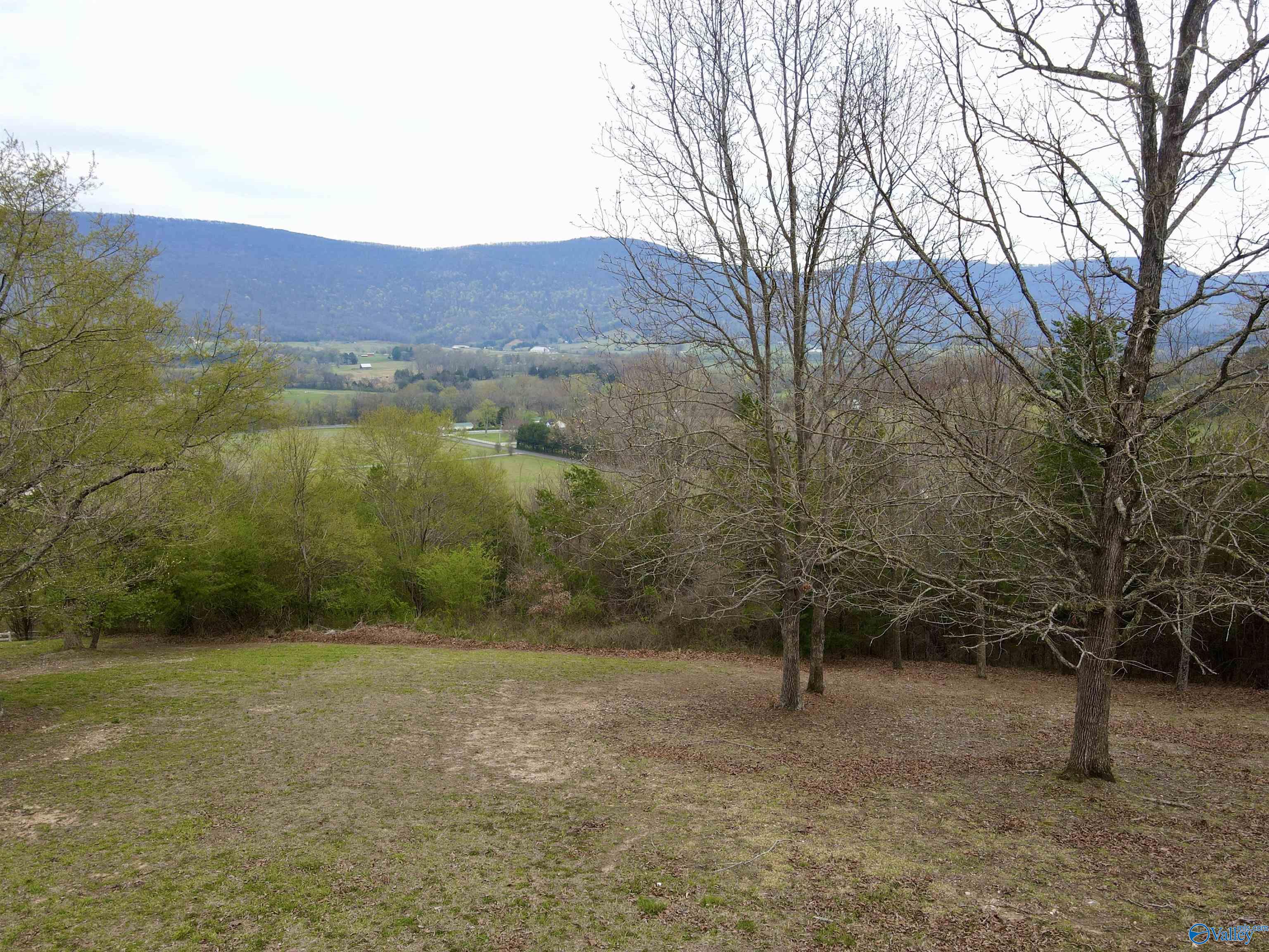 20 Skyhigh Drive, Dunlap, Tennessee image 4