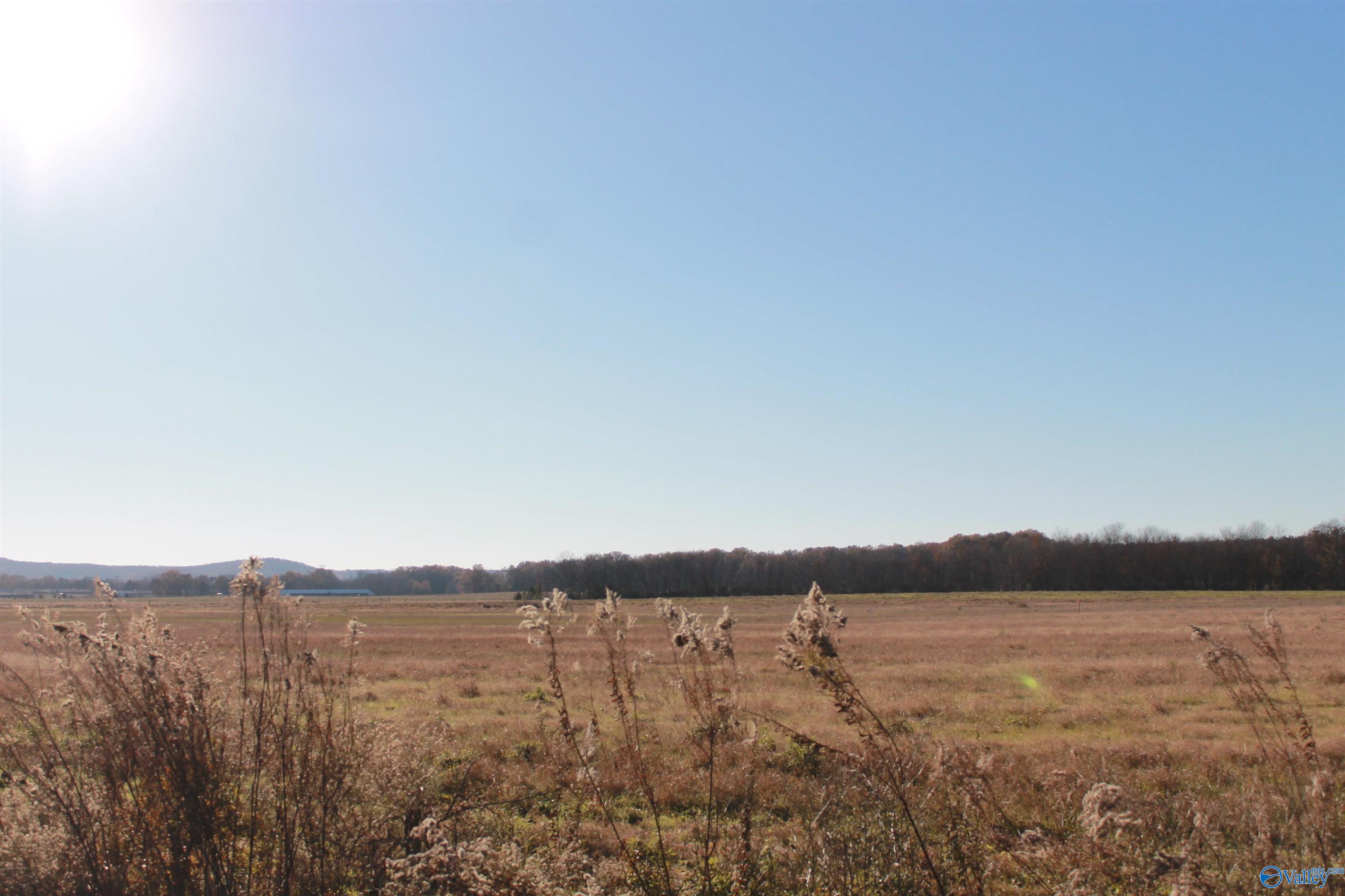 Lot 3 Huckaby Bridge Road, Falkville, Alabama image 3