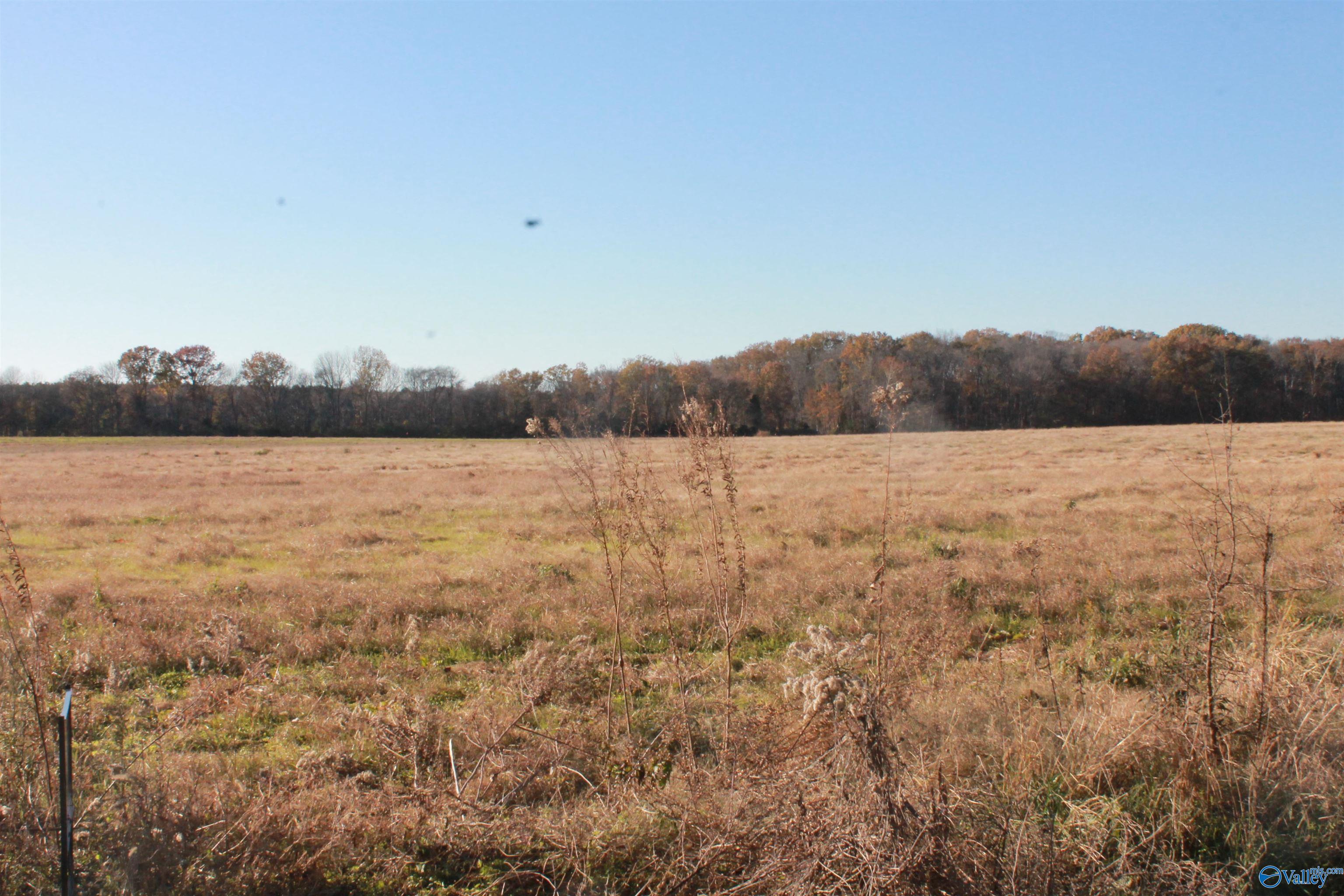 Lot 3 Huckaby Bridge Road, Falkville, Alabama image 1