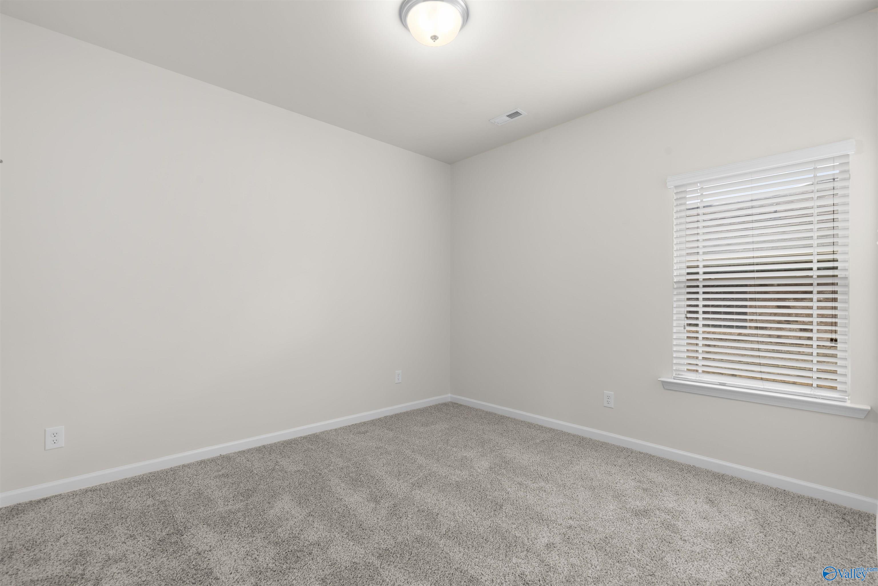 317 Harbor Glen Drive, Madison, Alabama image 31