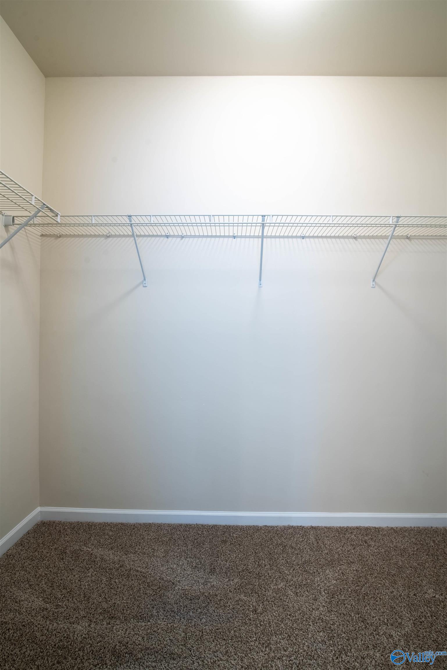 317 Harbor Glen Drive, Madison, Alabama image 26