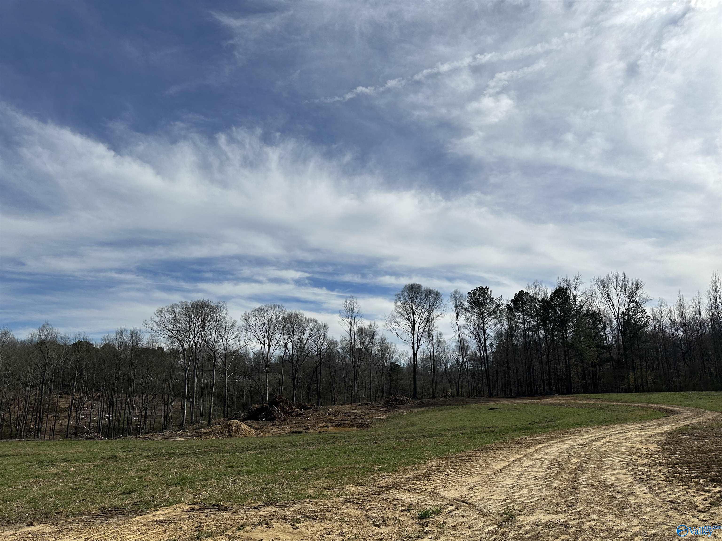 663 Holmes Road, Falkville, Alabama image 1