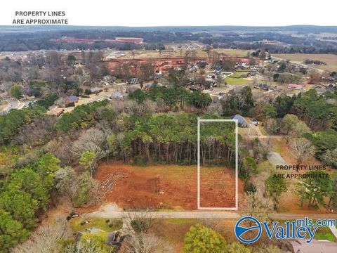 Homes For Sale - 167 Jacque Jim Drive<br/> Huntsville, AL 35810