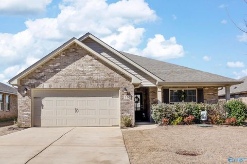 Homes For Sale - 372 Willow Bank Circle<br/> Decatur, AL 35603