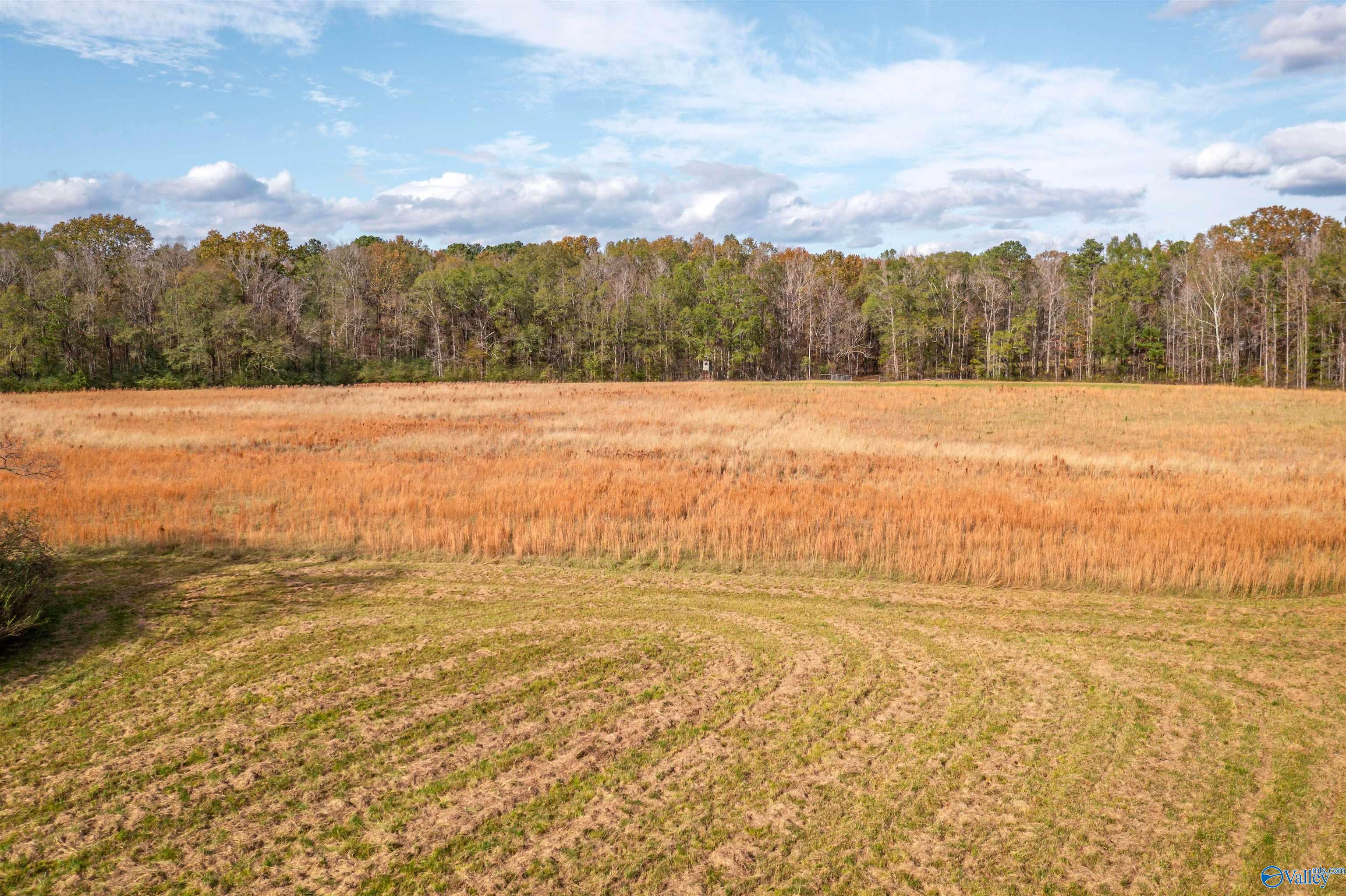 1700 Cedar Springs Drive, Jacksonville, Alabama image 9