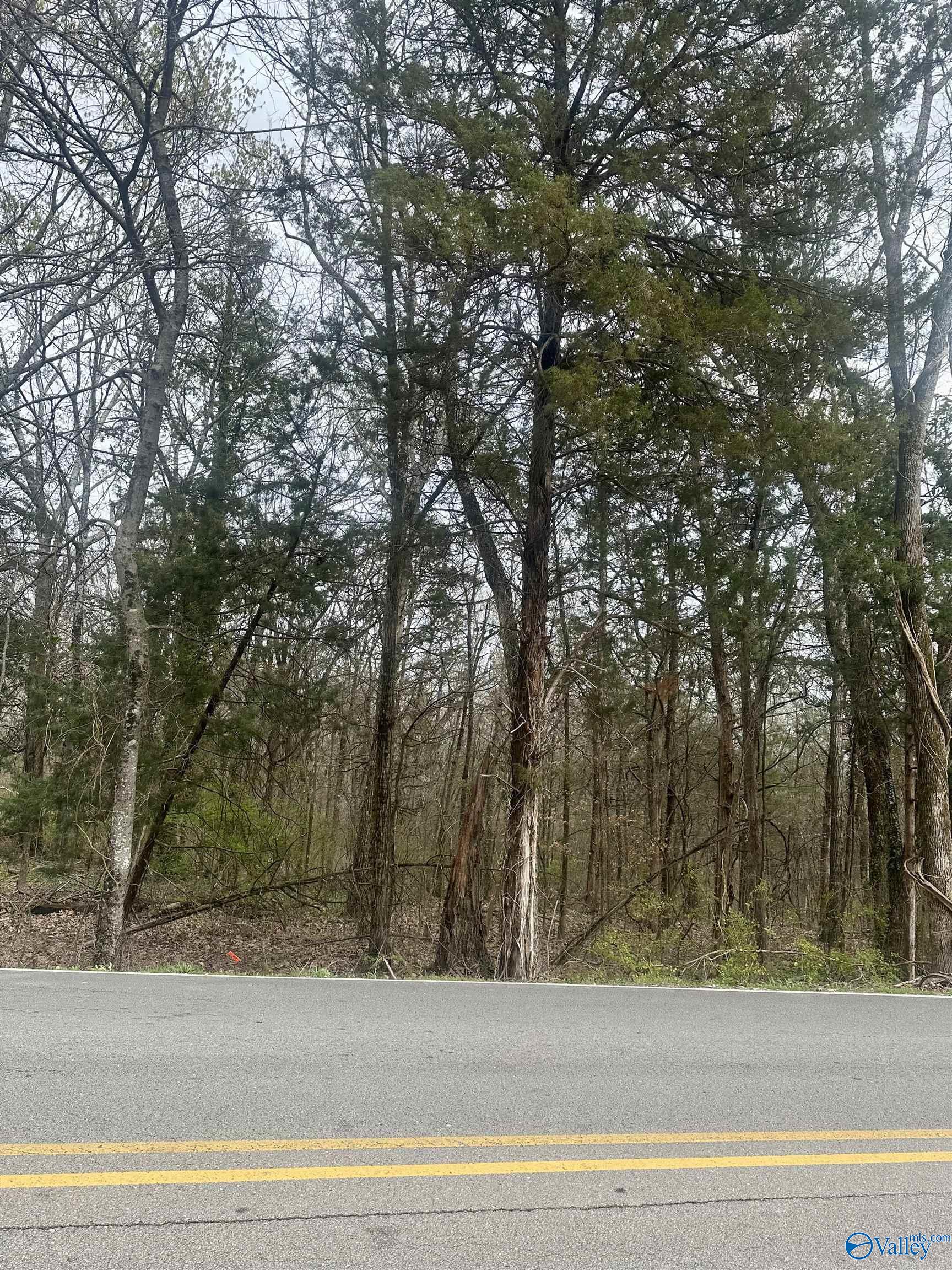 Lot 11 N Greenway Drive, Trinity, Alabama image 1