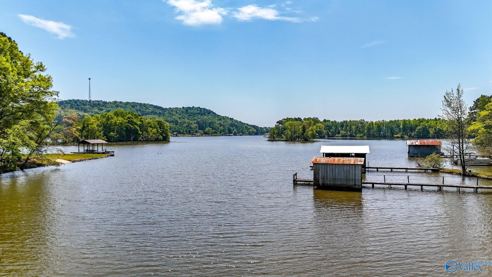 850 County Road 401, Cedar Bluff, Alabama image 37