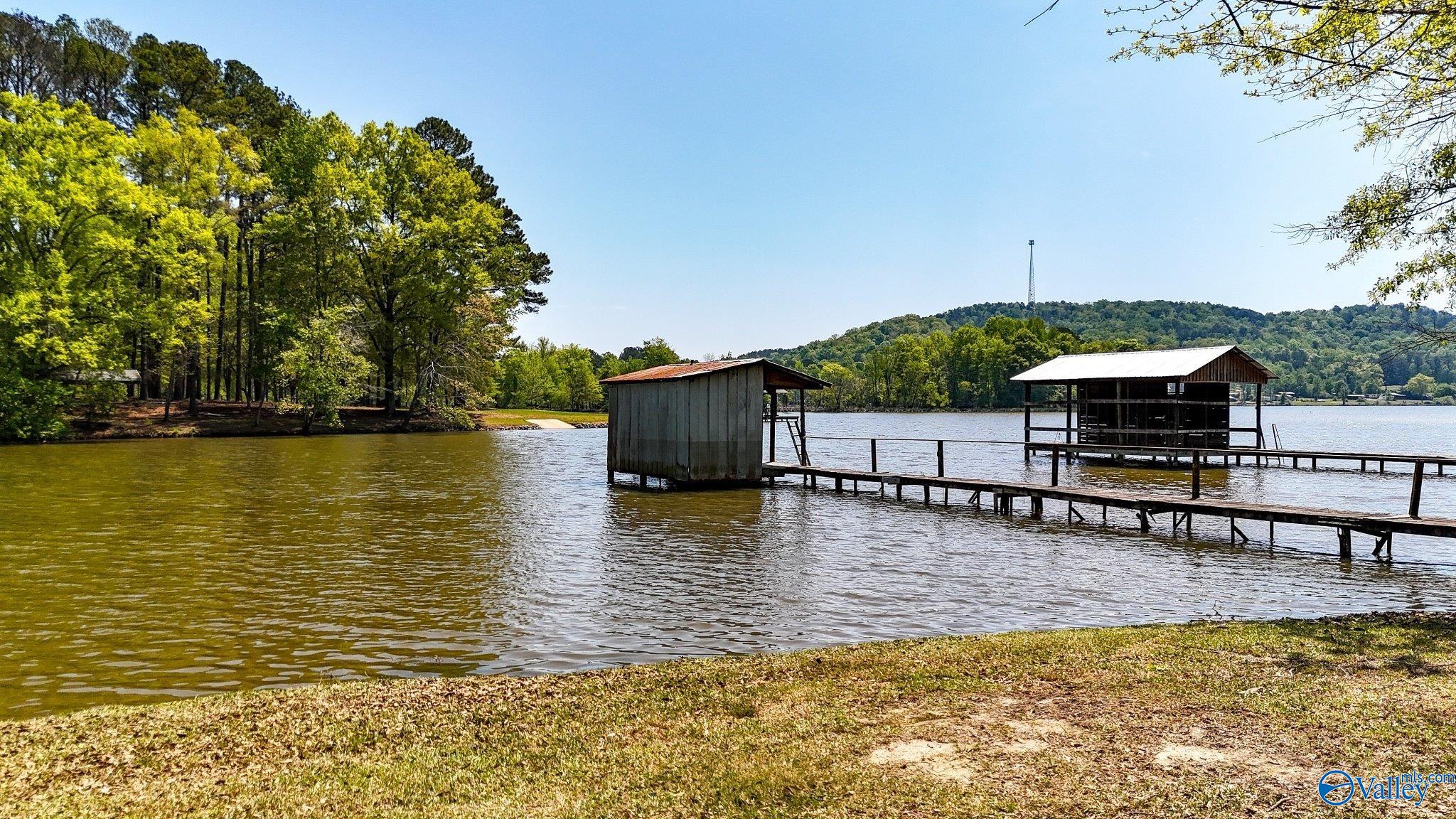 850 County Road 401, Cedar Bluff, Alabama image 35