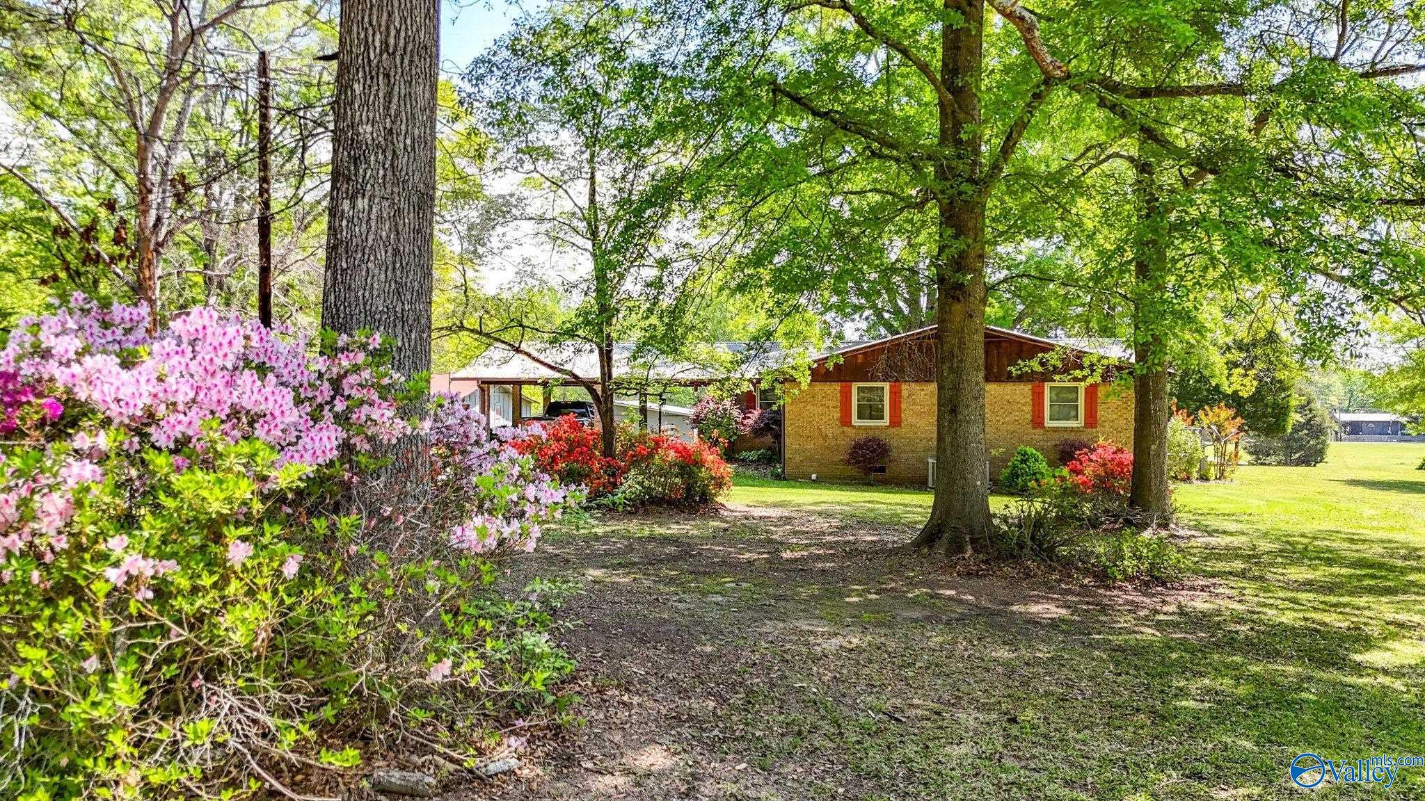 850 County Road 401, Cedar Bluff, Alabama image 32