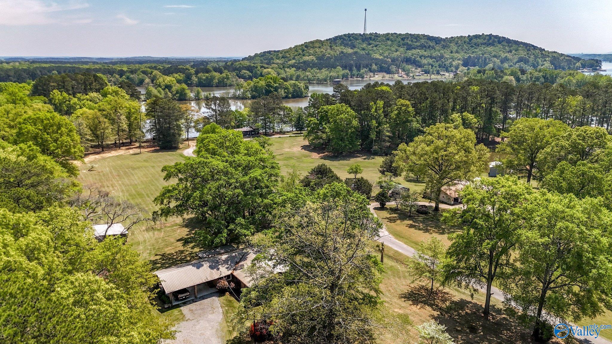 850 County Road 401, Cedar Bluff, Alabama image 39