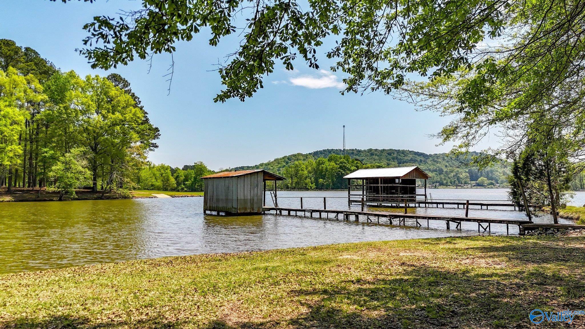 850 County Road 401, Cedar Bluff, Alabama image 36