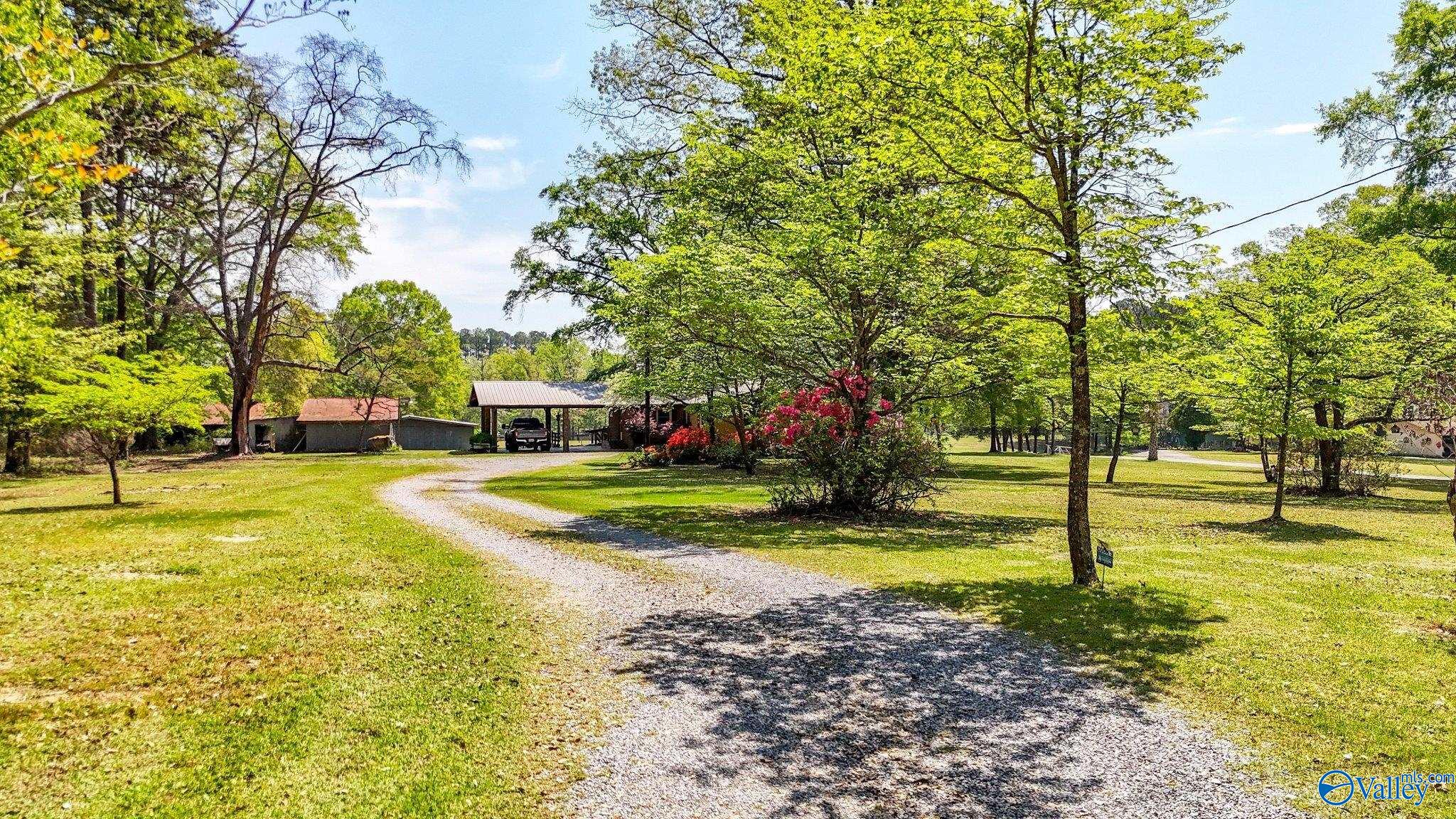 850 County Road 401, Cedar Bluff, Alabama image 30