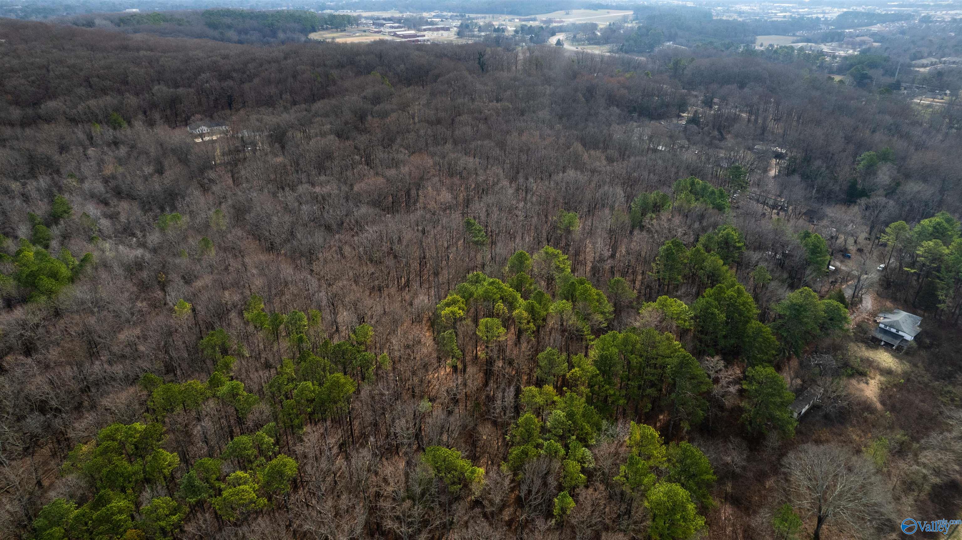 3.39 Acres Travis Road, Huntsville, Alabama image 11