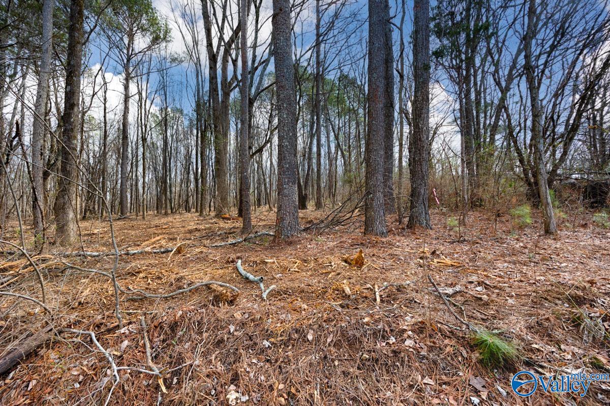 3.39 Acres Travis Road, Huntsville, Alabama image 3