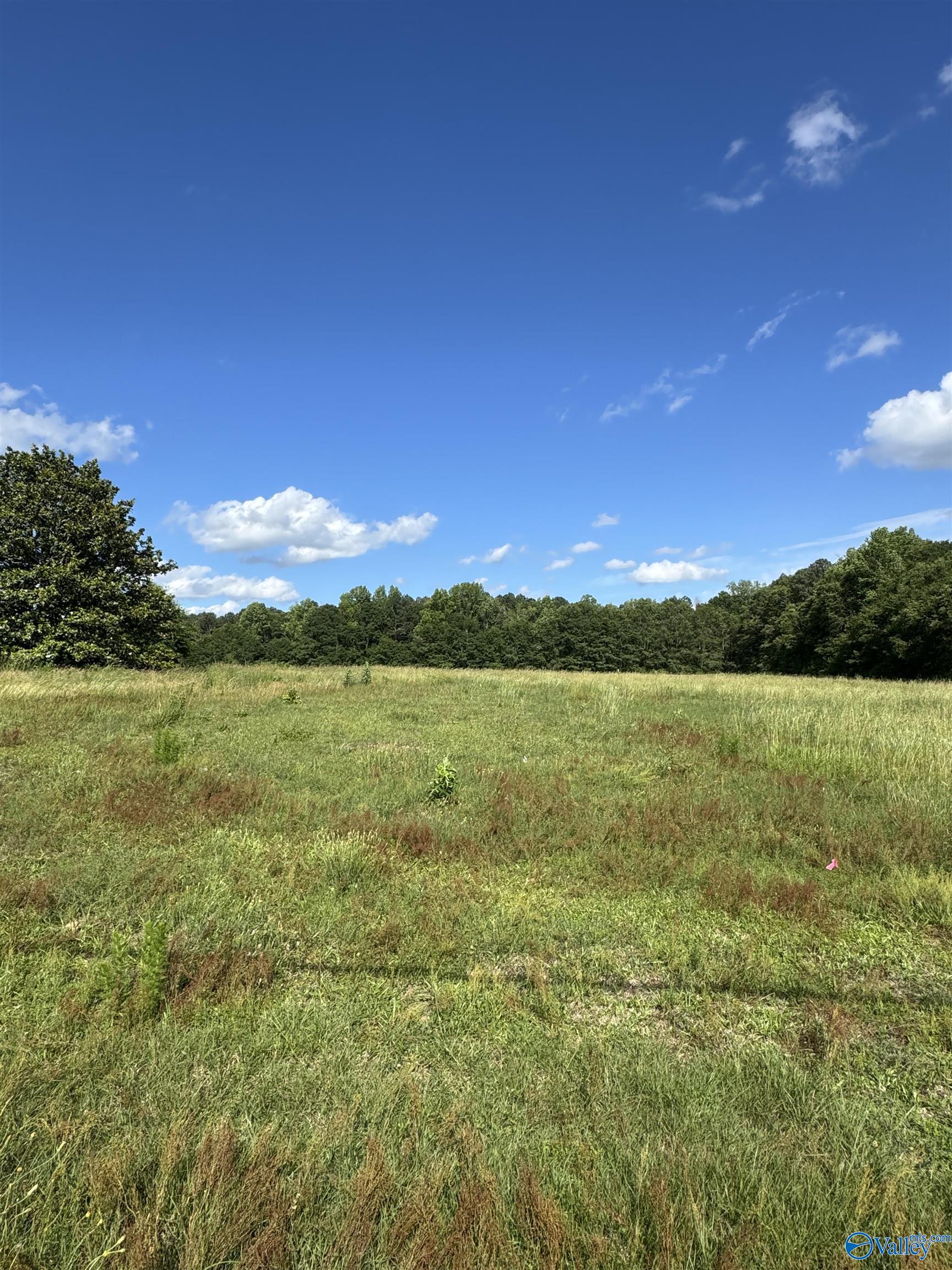 391 Rabbittown Road, Albertville, Alabama image 1