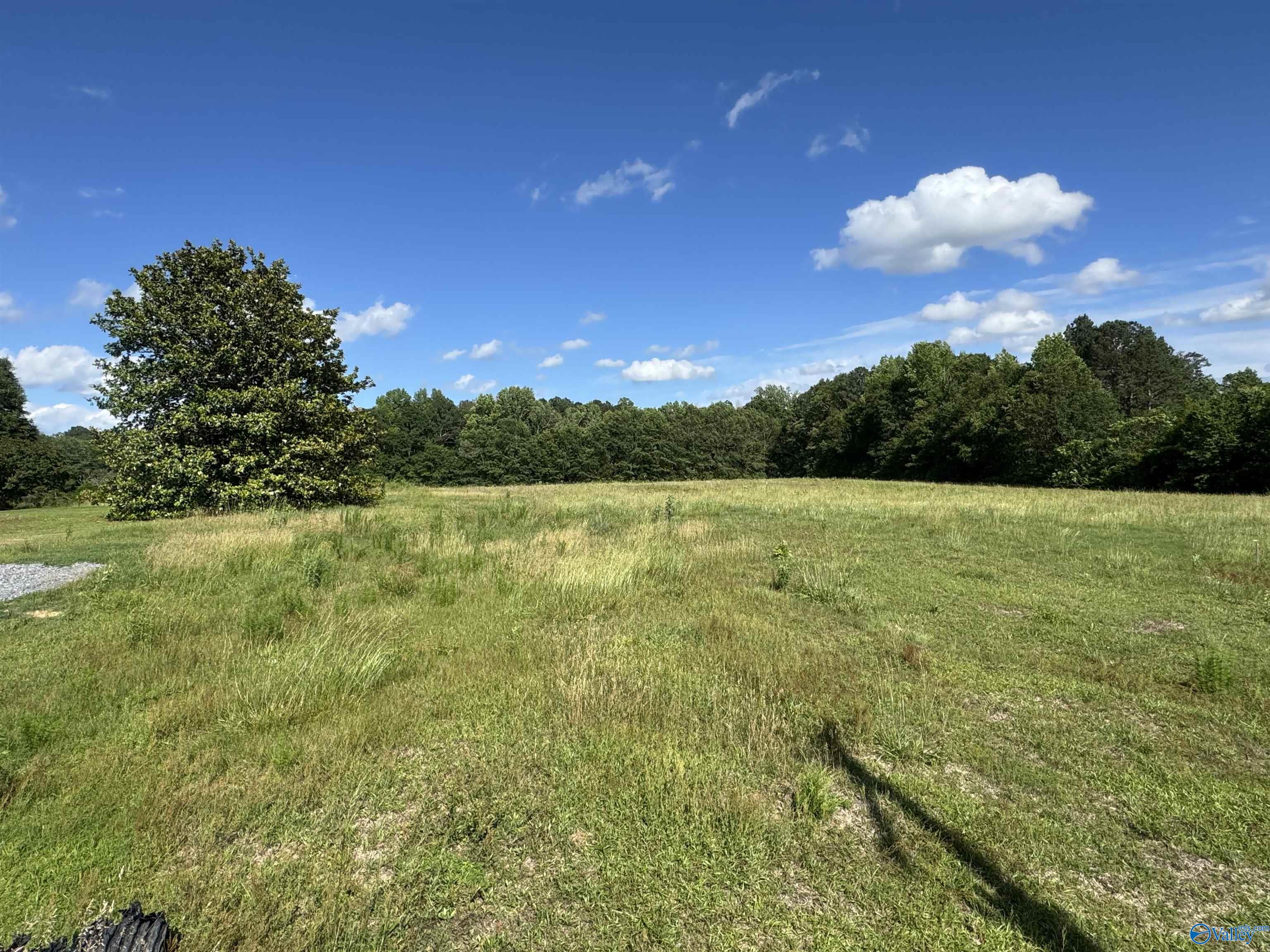 391 Rabbittown Road, Albertville, Alabama image 3