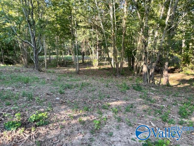 Lot 1 7.5+/-ac Old Union Road, Grant, Alabama image 6