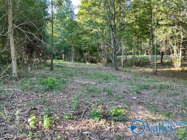 Lot 1 7.5+/-ac Old Union Road, Grant, Alabama image 5