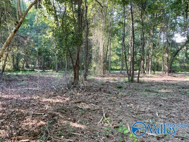 Lot 1 7.5+/-ac Old Union Road, Grant, Alabama image 7