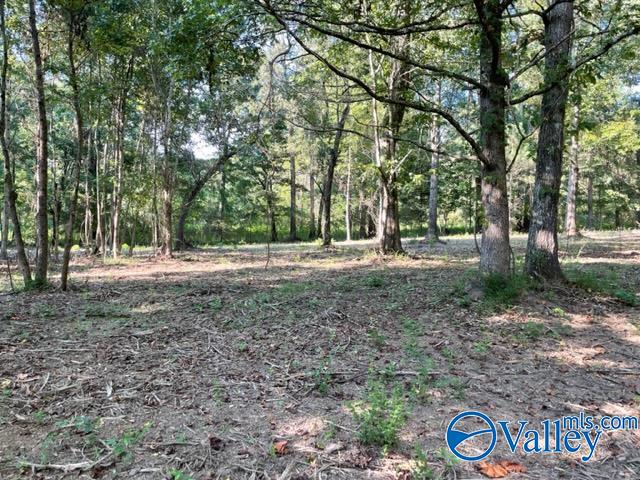 Lot 1 7.5+/-ac Old Union Road, Grant, Alabama image 8