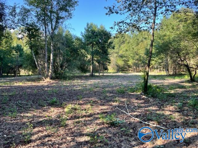 Lot 1 7.5+/-ac Old Union Road, Grant, Alabama image 1