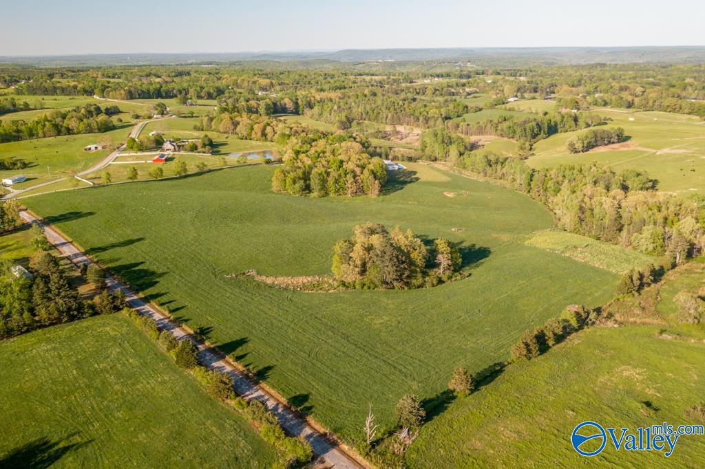 1025 County Road 1209, Vinemont, Alabama image 48