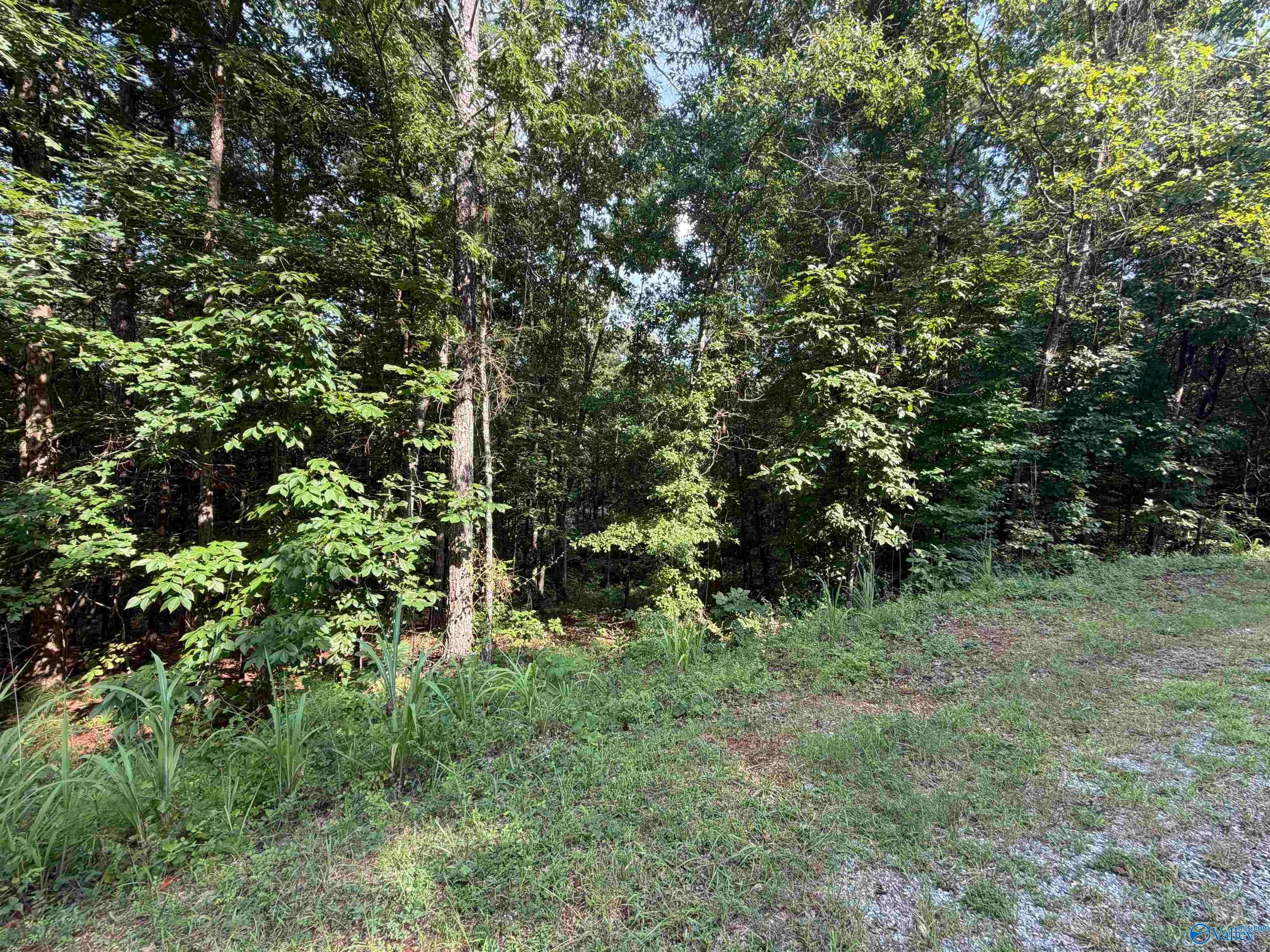 Lot 25 Yellow Creek Road