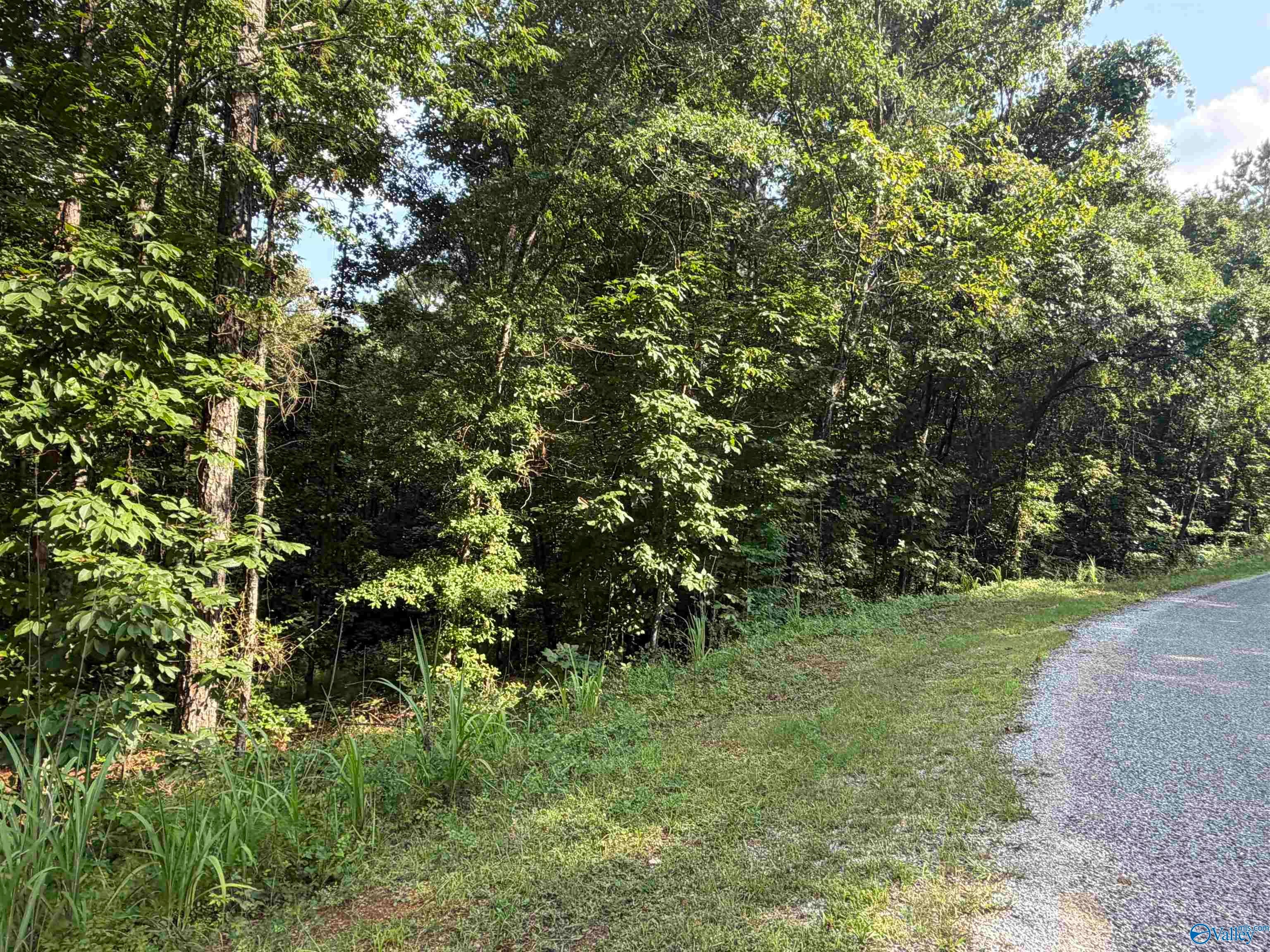 Lot 25 Yellow Creek Road