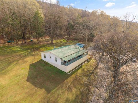 16 County Road 514 Princeton AL 35766