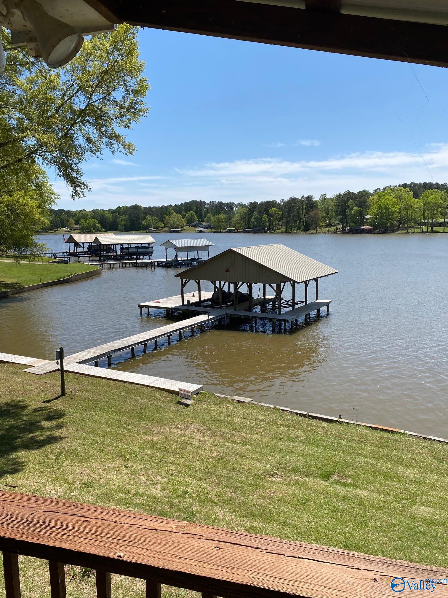180 County Road 568 #N/A, Leesburg, Alabama image 19