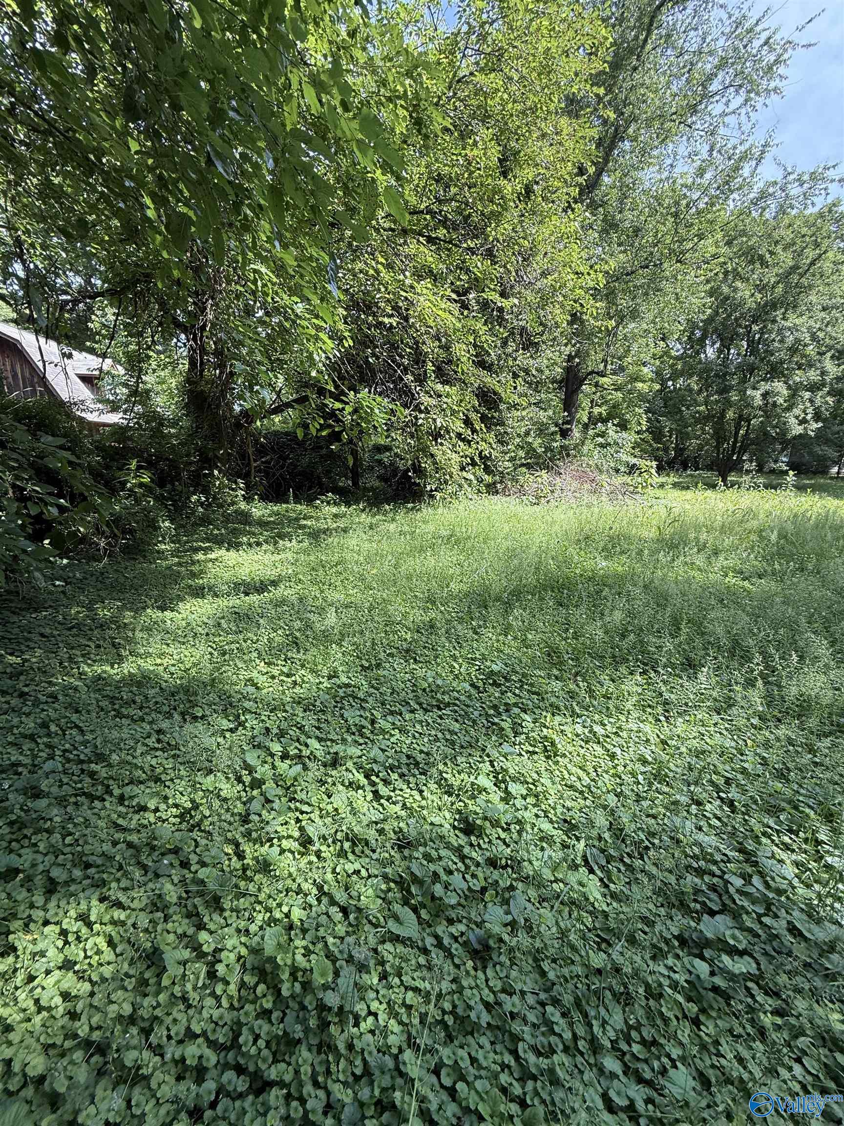 0.24 Acres SW Wilks Place, Huntsville, Alabama image 2