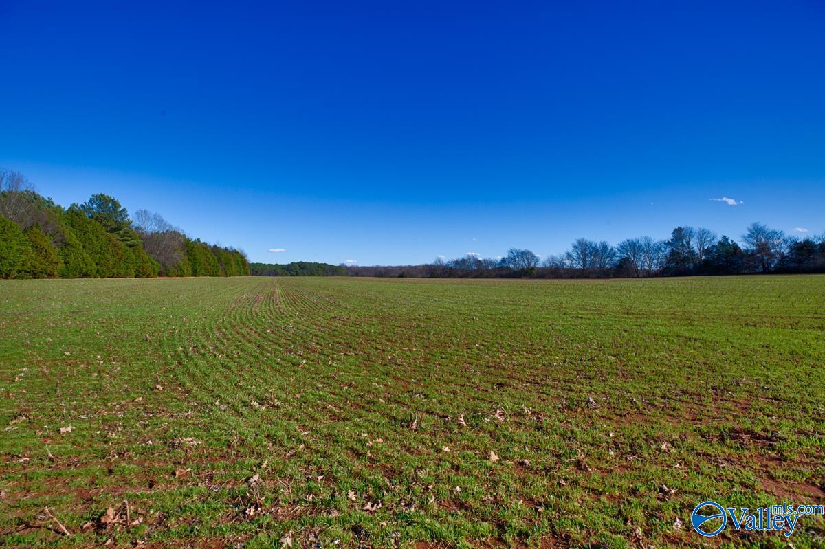 237 Acres Narrow Lane, New Market, Alabama image 11