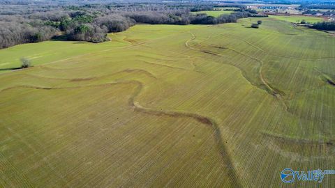 237 acres Narrow Lane New Market AL 35761